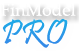 FinModel Pro